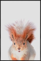 JUNIQE - Poster met kunststof lijst Red Squirrel -13x18 /Grijs &