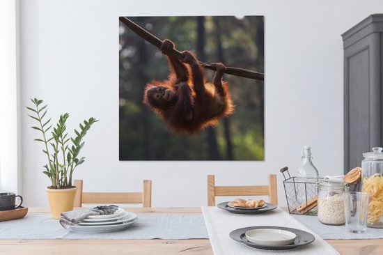 Tableau sur Toile Jeune orang-outan suspendu à une branche - 90x90 cm - Décoration murale