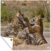 Tuin poster Jonge tijgers spelend in het water - 200x200 cm - Tuindoek - Buitenposter