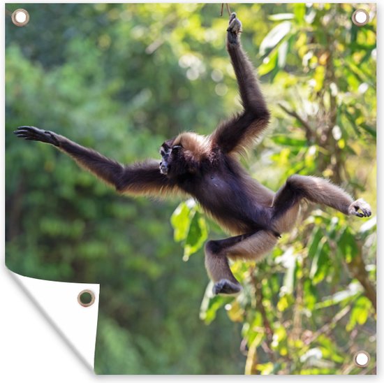 Tuin poster Springende aap in de jungle - 200x200 cm - Tuindoek - Buitenposter