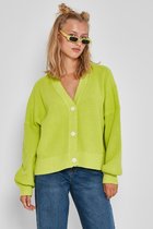 Noisy may Vest Nmuna L/s V-neck Knit Cardigan 27019544 Wild Lime Dames Maat - S