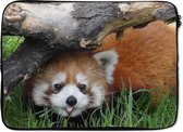 Laptophoes 14 inch 36x26 cm - Rode panda - Macbook & Laptop sleeve Rode Panda in de dierentuin - Laptop hoes met foto