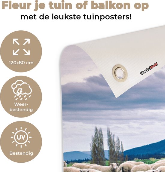 Tuinposter 120x80 cm - Tuindecoratie Schapen - Natuur - Gras - Poster voor in de tuin - Buiten decoratie - Schutting tuinschilderij - Tuindoek muurdecoratie - Wanddecoratie balkondoek