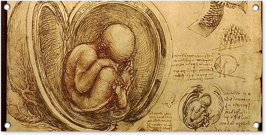 Tuinposter Baby in the womb - Leonardo da Vinci - 80x40 cm - Wanddecoratie Buiten - Tuinposter - Tuindoek - Schuttingposter - Tuinschilderij