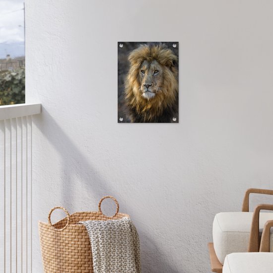 Décoration de Jardin Lion - Portrait - Sauvage - 30x40 cm - Toile de jardin