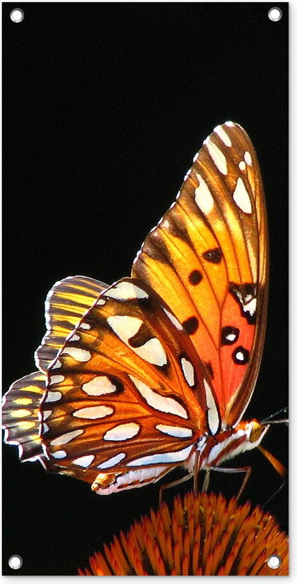 Tuinposter Vlinder - Bloemen - Insect - Portret - Zwart - Oranje - 40x80 cm - Wanddecoratie Buiten - Tuinposter - Tuindoek - Schuttingposter - Tuinschilderij