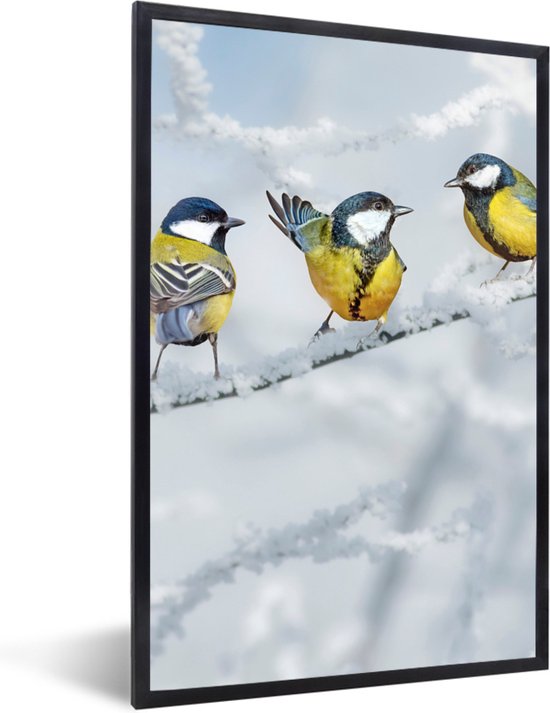 Poster - Fotolijst - Vogel - Koolmees - Winter - Sneeuw - Takken - 20x30 cm - Poster in lijst - Wanddecoratie natuur - Poster vogels - Poster dieren - Foto met lijst