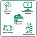 Icons: vers van kwekers, makkelijk online bestellen, veilig betalen, snelle levering, 1 maand aangroeigarantie.