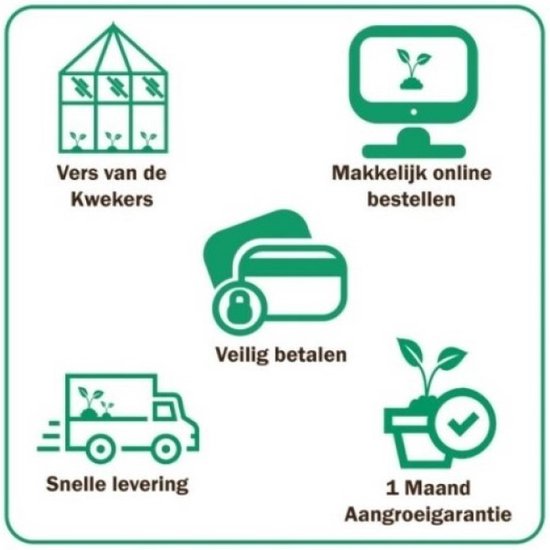 Icons: vers van kwekers, makkelijk online bestellen, veilig betalen, snelle levering, 1 maand aangroeigarantie.