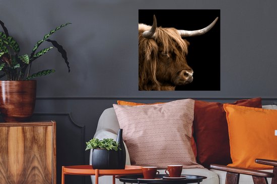 Affiche Highlander écossais - Animaux - Vache - 50x50 cm