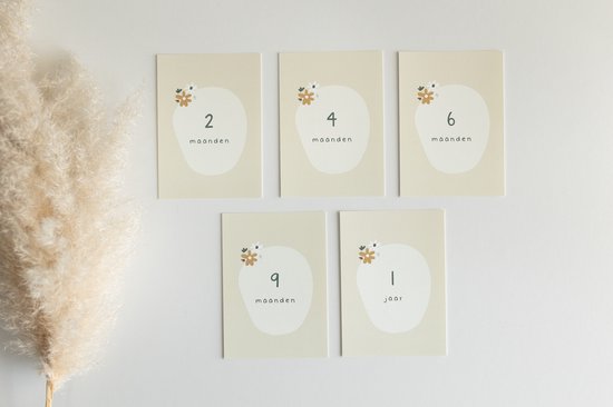 20x hippe baby mijlpaalkaartjes (A6 formaat) - milestone baby cards - cadeau zwangerschap - kado zwangerschap - babyshower cadeau - hoera zwanger - zwangerschapsverlof - kraamcadeaus - mijlpaalkaarten baby - baby kado - baby cadeau