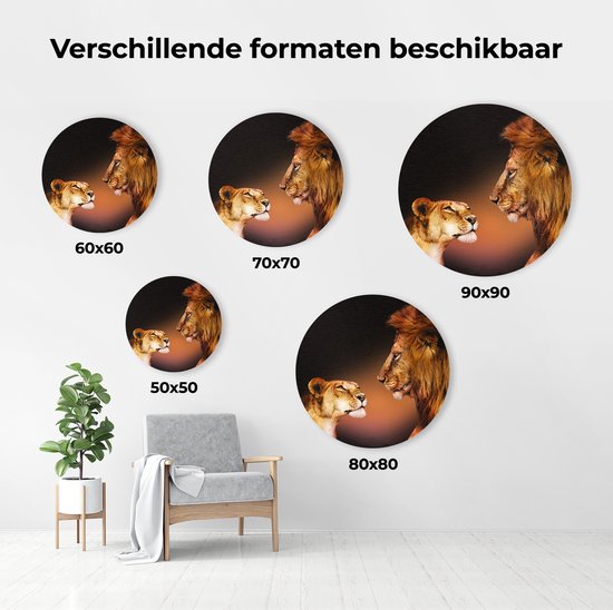 Artaza Forex Cercle Mural Lion et Lionne - Couleur - 70x70 cm - Cercle Mural - Peinture Ronde - Cercle de Décoration murale - Décoration murale