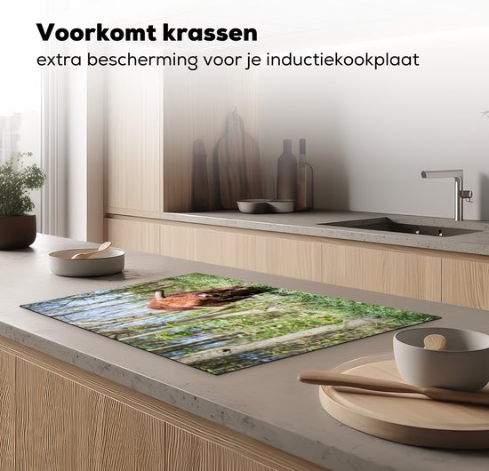 KitchenYeah® Inductie beschermer 78x52 cm - Schotse Hooglander - Bos - Schotse Koe - Kookplaataccessoires - Afdekplaat voor kookplaat - Inductiebeschermer - Inductiemat - Inductieplaat mat