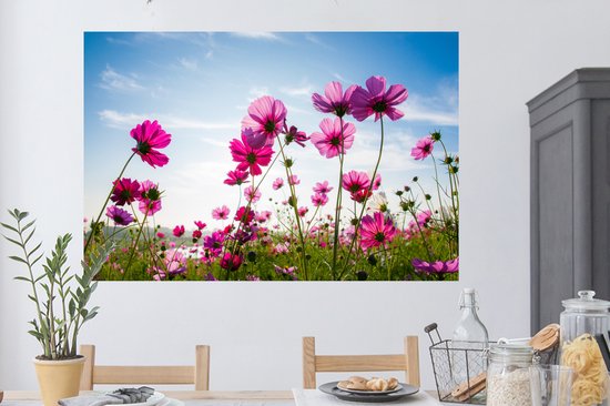 Muurstickers - Sticker Folie - Bloemen - Roze - Cosmea - 120x80 cm - Plakfolie - Muurstickers Kinderkamer - Zelfklevend Behang - Zelfklevend behangpapier - Stickerfolie