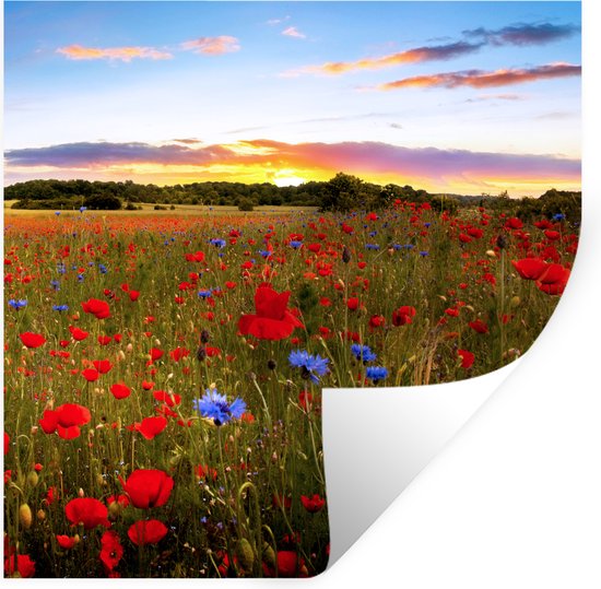 Stickers muraux - Fleurs - Coucher de soleil - Couleurs - 30x30 cm - Feuille adhésive