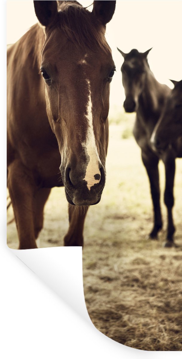 Muurstickers - Sticker Folie - Paarden sepia fotoprint - 20x40 cm - Plakfolie - Muursticke