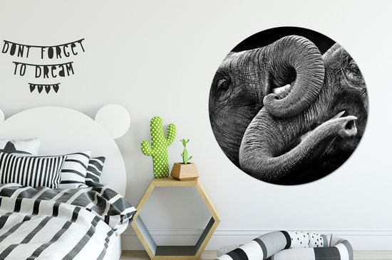 WallCircle - Wandcirkel - Muurcirkel - Olifant - Dier - Slurf - Aluminium - Dibond - 140x140 cm - Binnen en Buiten