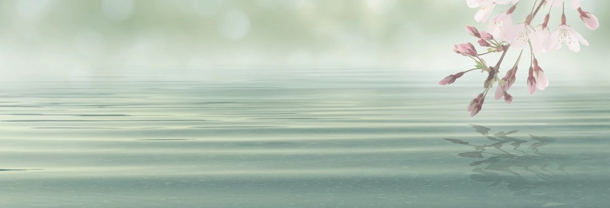 karo-art Schilderij - Bloesem in het roze boven mint groene zee, panorama, 2 maten Multikleur