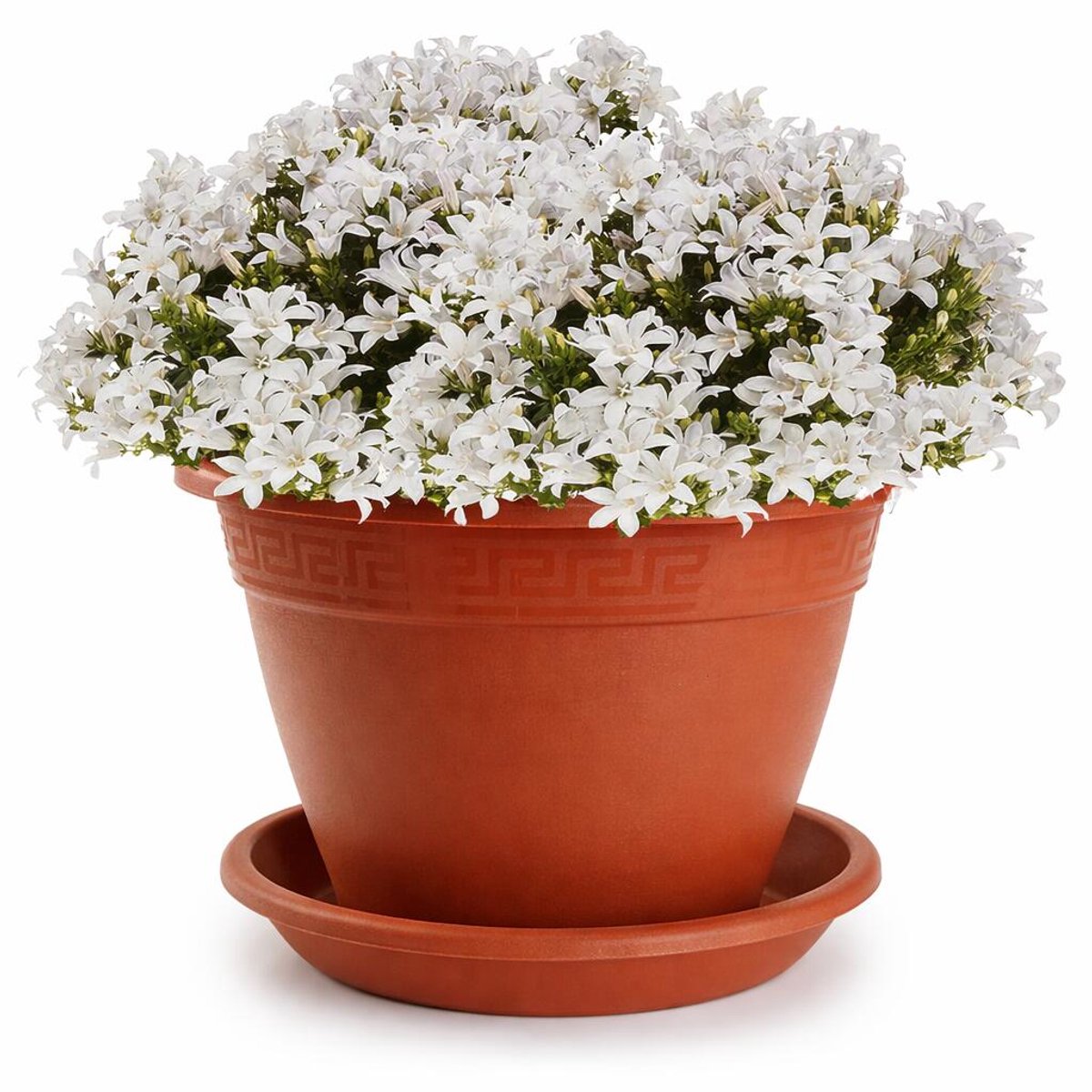 Plasticforte plantenpot met opvang schaal - terracotta - rond - D25 x H19 cm - kunststof - buiten - tuin - bloempot