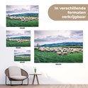 Product afbeelding  10