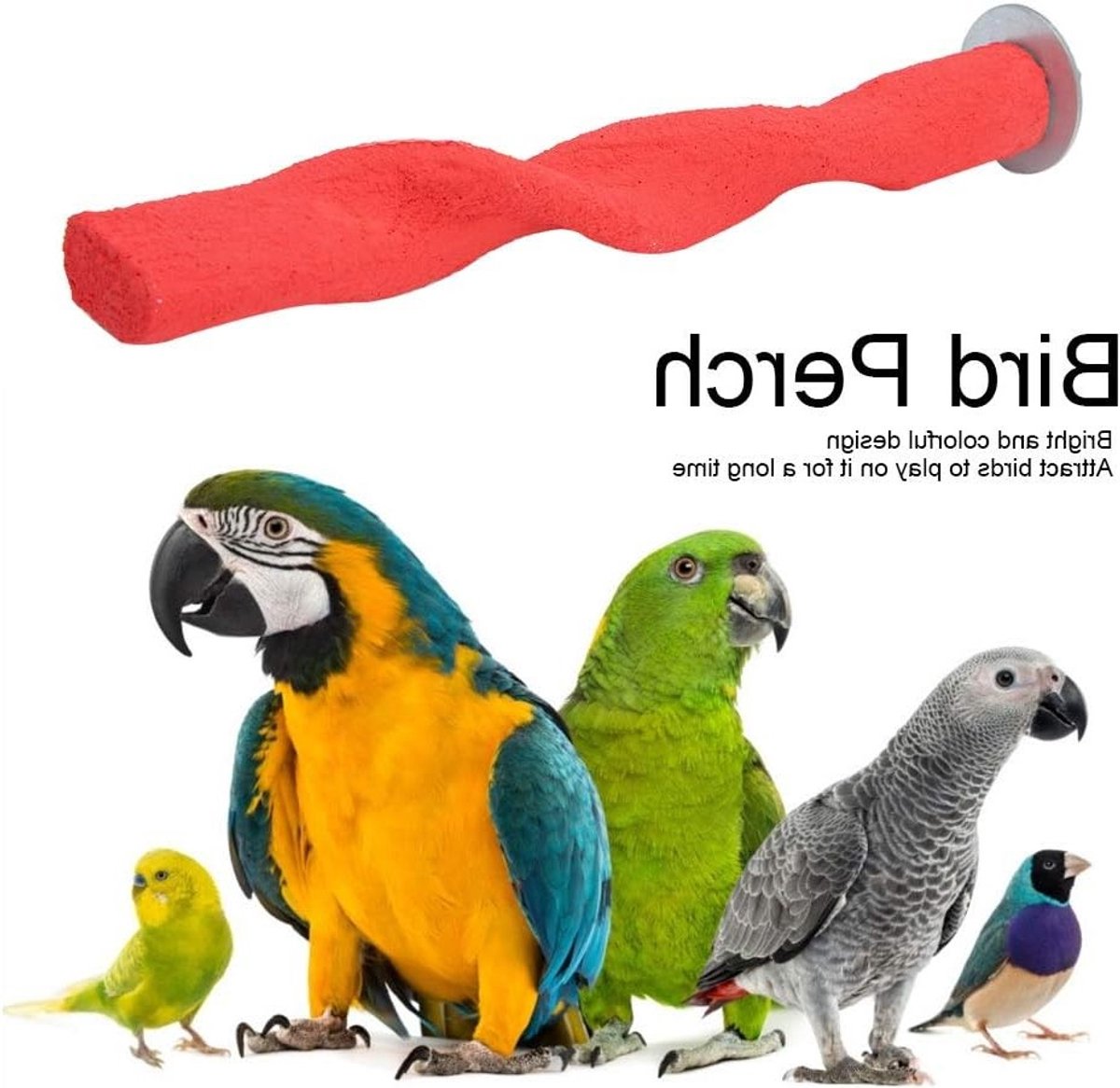 Twist Bar Vogelkooi Vijl – Perfecte Nagelverzorging voor Papegaaien en Kleine Vogels, Comfortabel en Veilig Materiaal voor Optimale Zorg