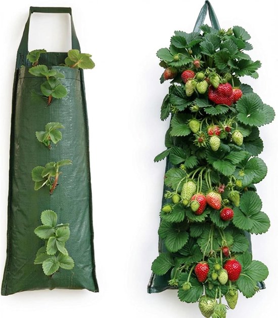 Hangende kweekzakken voor aardbeien, geschikt voor het kweken van fruit, kruiden en...