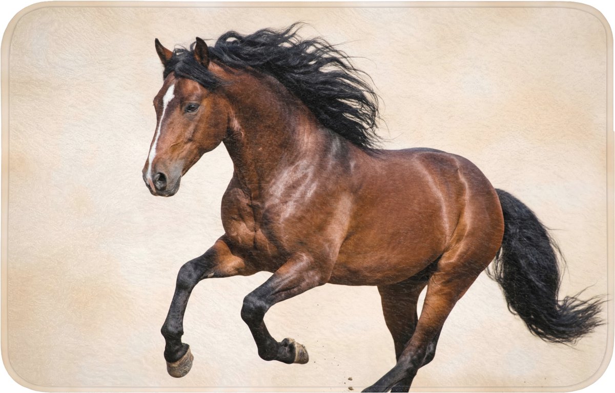 WC mat 80x50 cm - Antislip - Paard - Galop - Energie - Toiletmat - Vloermat - Douchemat -
