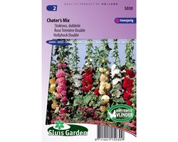 Sluis Garden - Stokroos Double Chater's Mix (Alcea rosea)