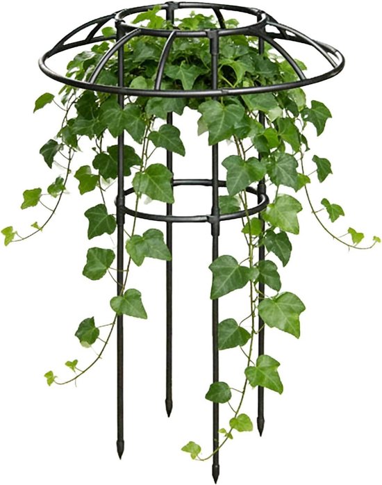 Plantenhek voor buiten - Klimplantsteun bloemensteun - Verticale plantengroei - Weerbestendig PP-gecoat - 70 cm hoog - Zwart