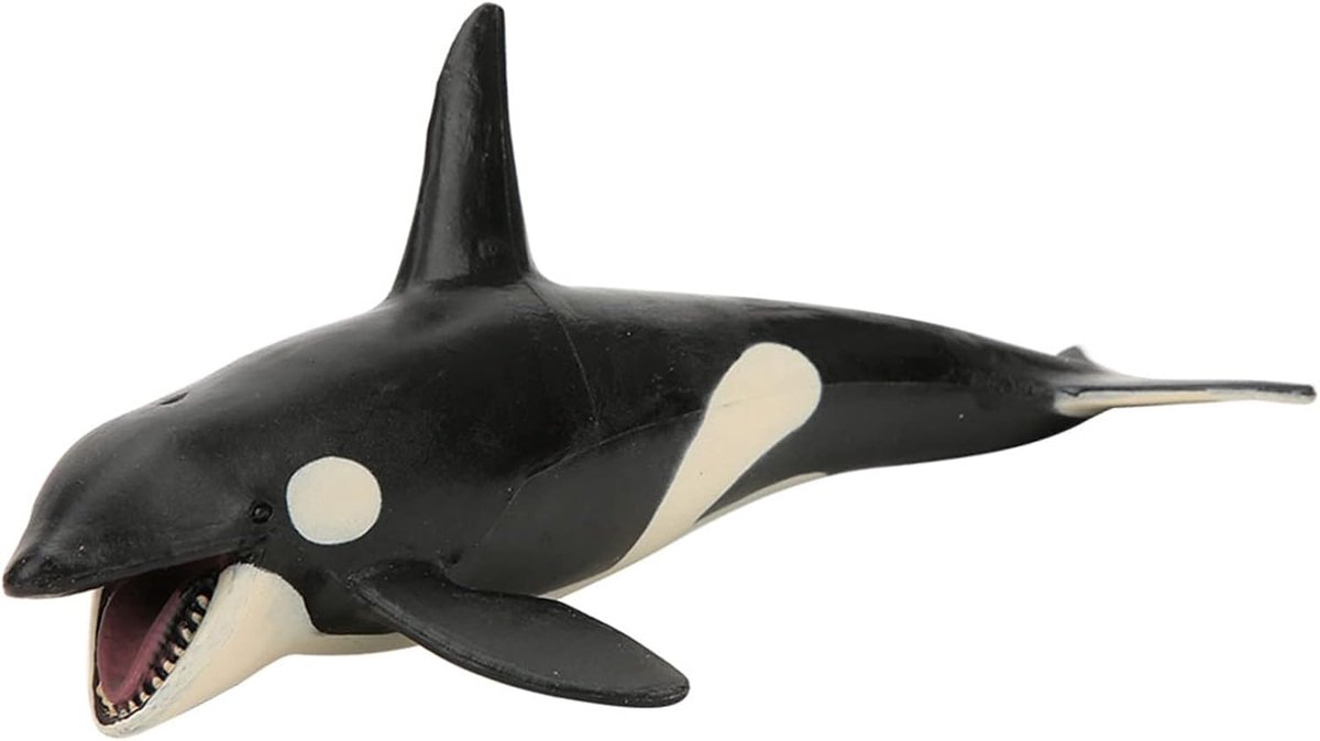 Orka Model - Zeewier Speelgoed - Educatief Speelgoed - Zeer Simulatie - 19 x 10 x 75 cm