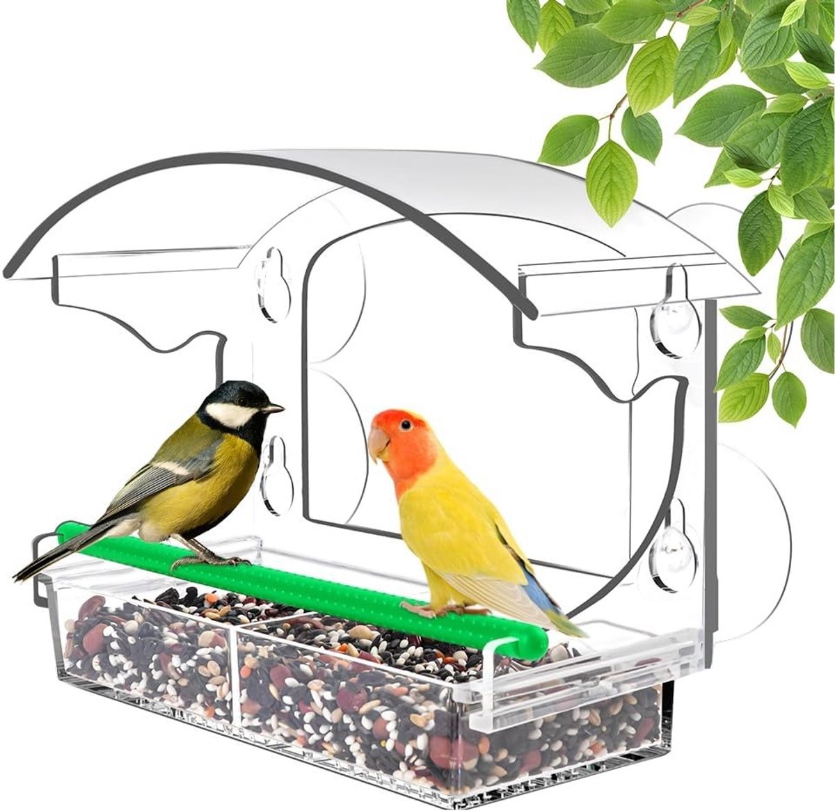 Transparante Voederhuis voor Vogels met Sterke Zuignappen, Ideaal voor Vogelobservatie en Tuinvogels, Inclusief Afvoergaten en Gemakkelijk te Bevestigen