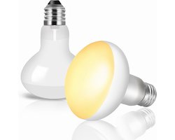 Warmtelamp Reptielen - UV-A Lamp - Terrarium Verwarmen - Energiezuinig 100W - 2 Stuks - Warm Wit
