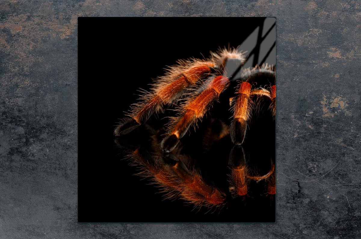 TMK ArtDeko - Snijplank - 50x52 cm - Glazen Panael - Veiligheidspaneel