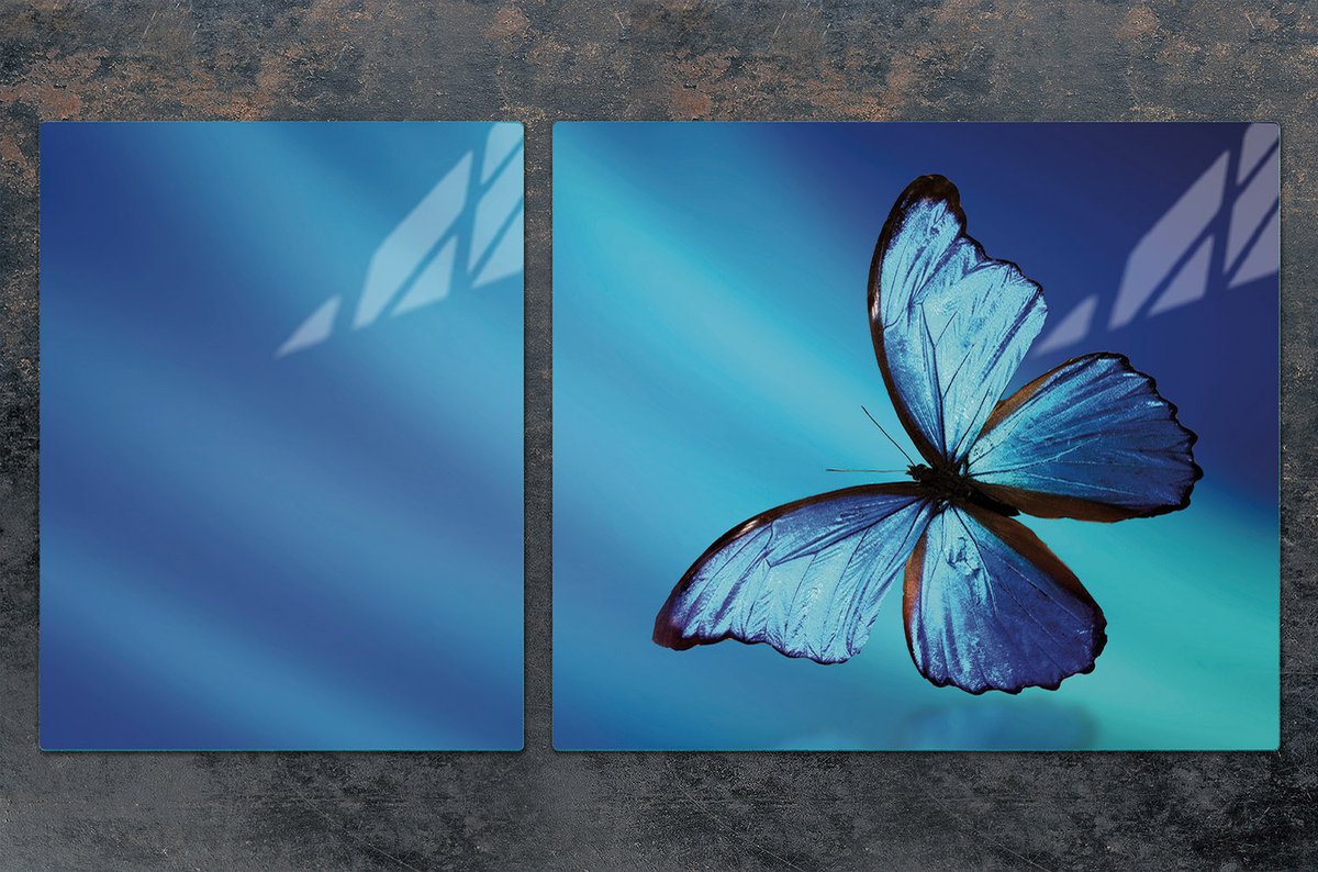 TMK ArtDeko Serie - Snijplank en Beschermplaat - 100x52 cm - Motyl