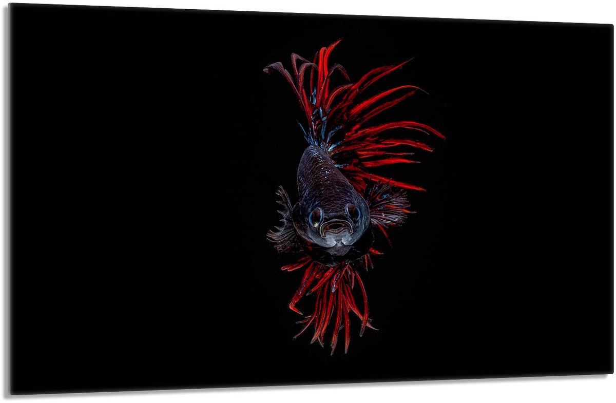 TMK ArtDeko - Snijplank - 80x52 cm - Beschermende Glasplaat - Vis Motief