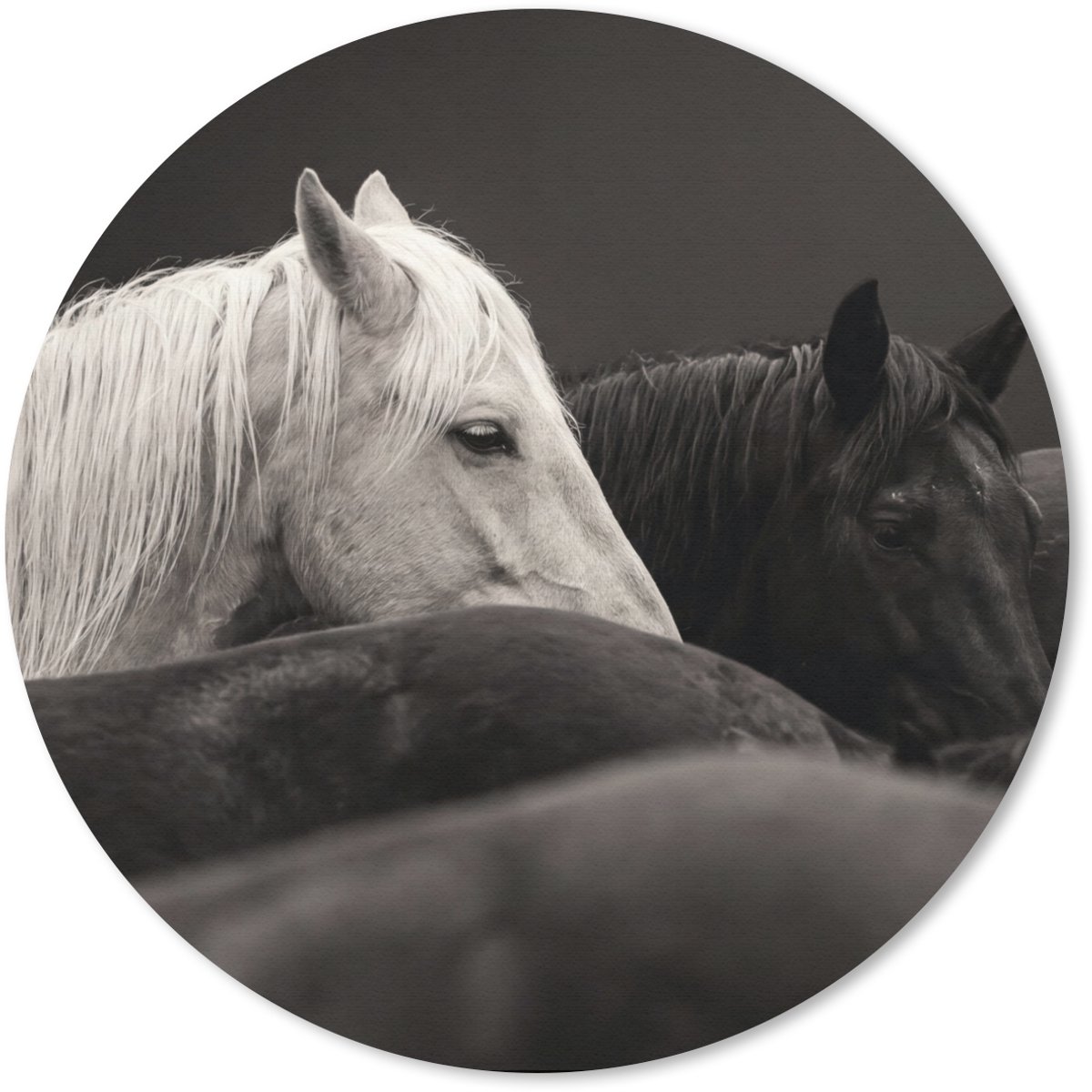 Muismat rond 20x20 cm - Mousepad Paarden - Zwart - Wit - Kudde - Ronde muismatten