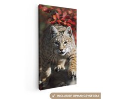 Canvas schilderij 80x160 cm - Wanddecoratie Lynx - Boomstam - Herfst - Muurdecoratie woonkamer - Slaapkamer decoratie - Kamer accessoires - Schilderijen op canvas