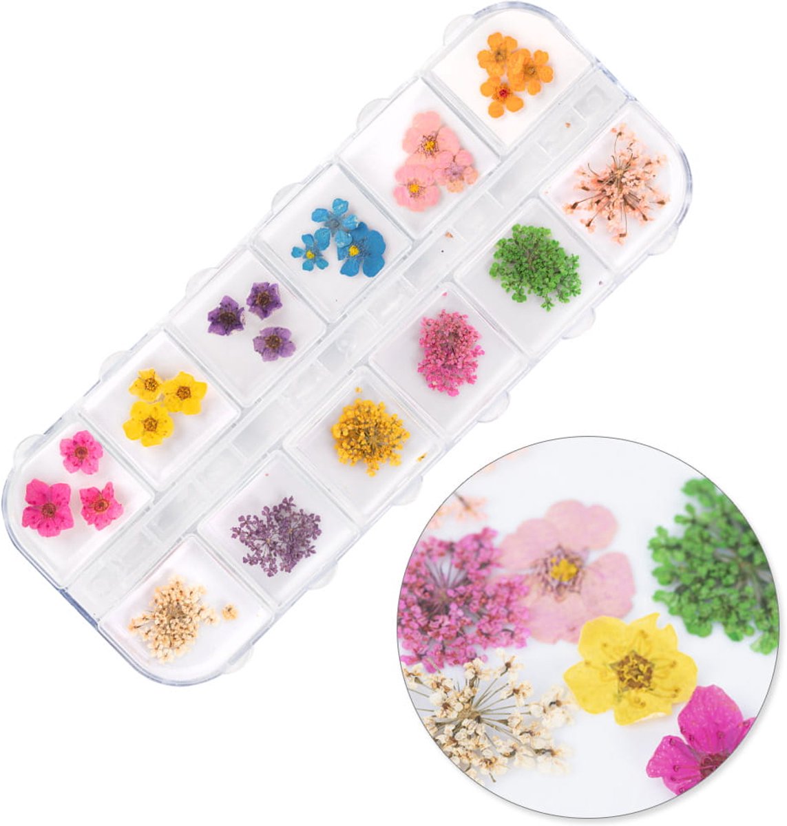 Molly Nails - Droogbloemen Nageldecoratie - Kasetje - 36 Stuks - Natuurlijke Kleuren