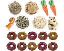 16-delige Speelgoedset voor Hamsters, Konijnen, Cavia's en Chinchilla's - Kauwspeelgoed, Verrijking en Snacks voor Kleine Huisdieren