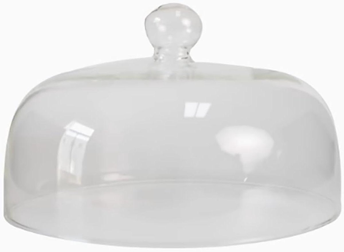 Magnetron Spatdeksel - Voedsel Cover - Magnetron Gebruik - Stoomopeningen - 22 cm - Transparant