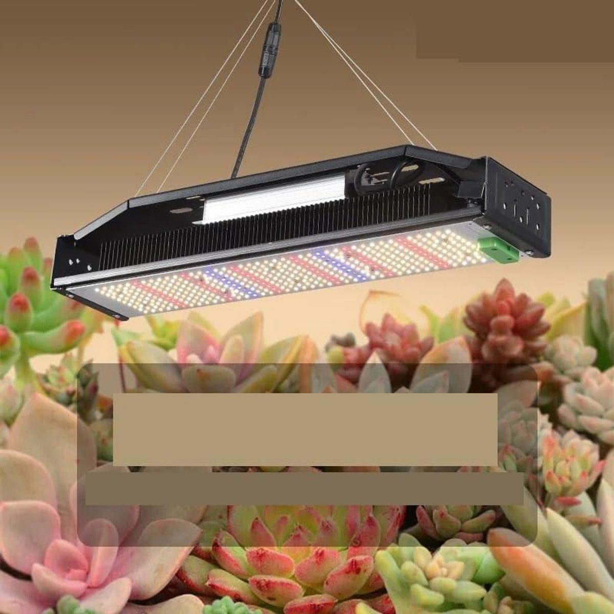 LED Groeilamp - Plantenlamp Kweeklamp - Planten Kweken - Full Spectrum Verlichting - 50W - Zwart
