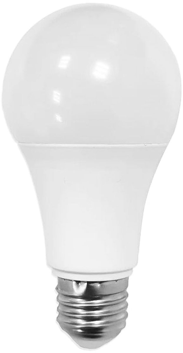 aladdien - Gloeilamp Kluis - Verborgen Opbergdoos - Discreet en Realistisch - Geheime Opbergplek - Veiligheid - Perfect voor Waardevolle Spullen
