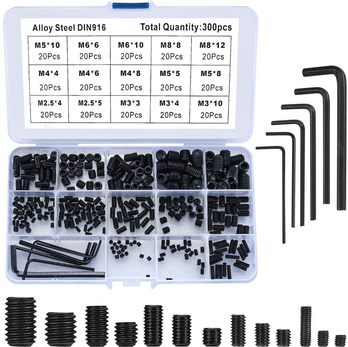 Dailygoods- Madenschroeven Set van 300 Stuks - Inbusschroeven - Roestvrij Staal - Assortiment M2.5/M3/M4/M5/M6/M8 - Zeskantschroeven - Plastic Doos - Schroeven
