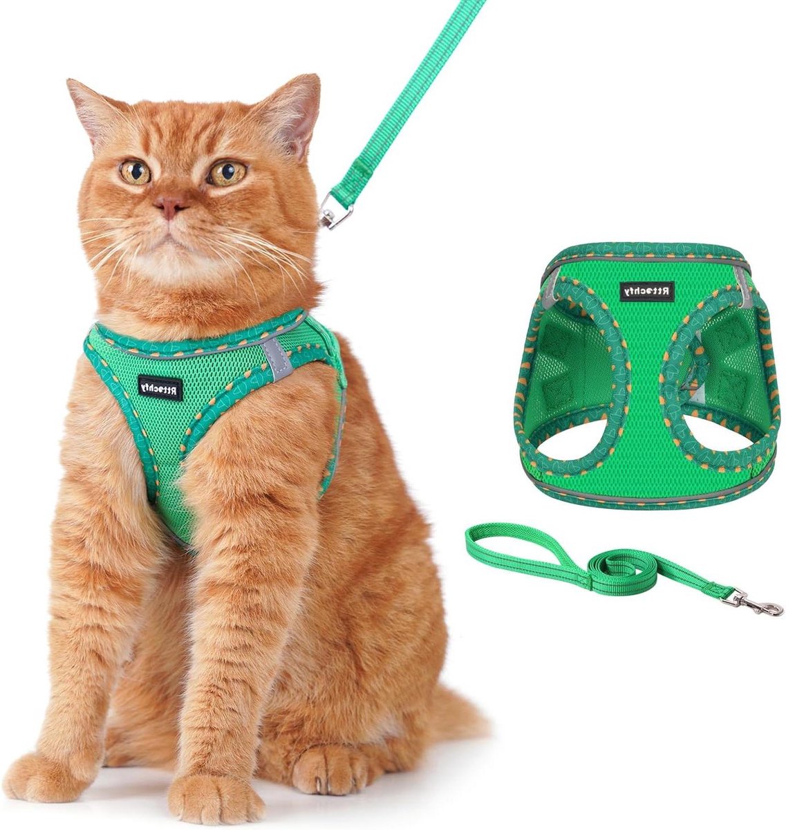 Kattenharnas en riemset - Huisdier tuigje - Veilig wandelen - Ontsnappingsbestendig ontwerp - M (15.5-17.5 inch) - Groen