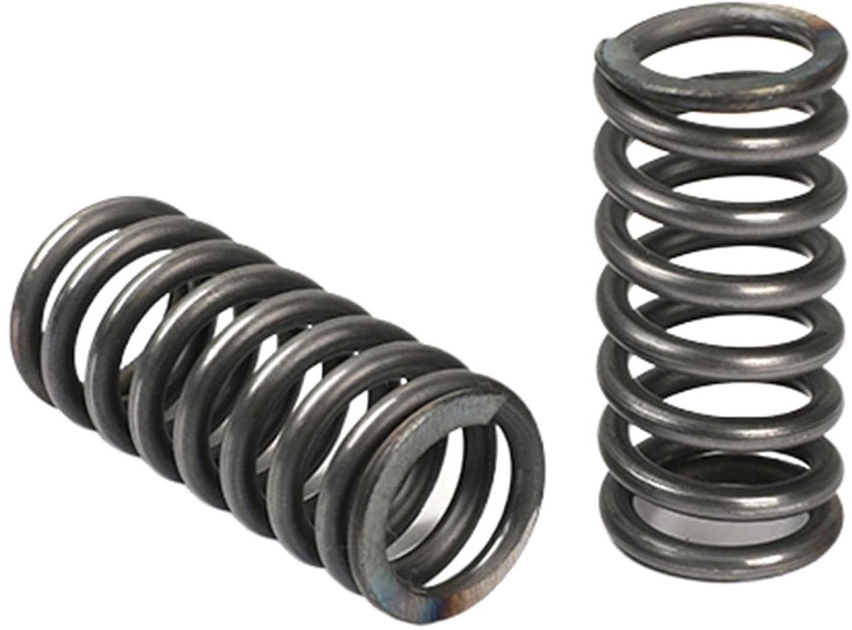 Drukveer Set - Compressieveer Stalen Veer - Apparaten Repareren - Hoogwaardig Verenstaal - 3x20x100 mm - Zilver
