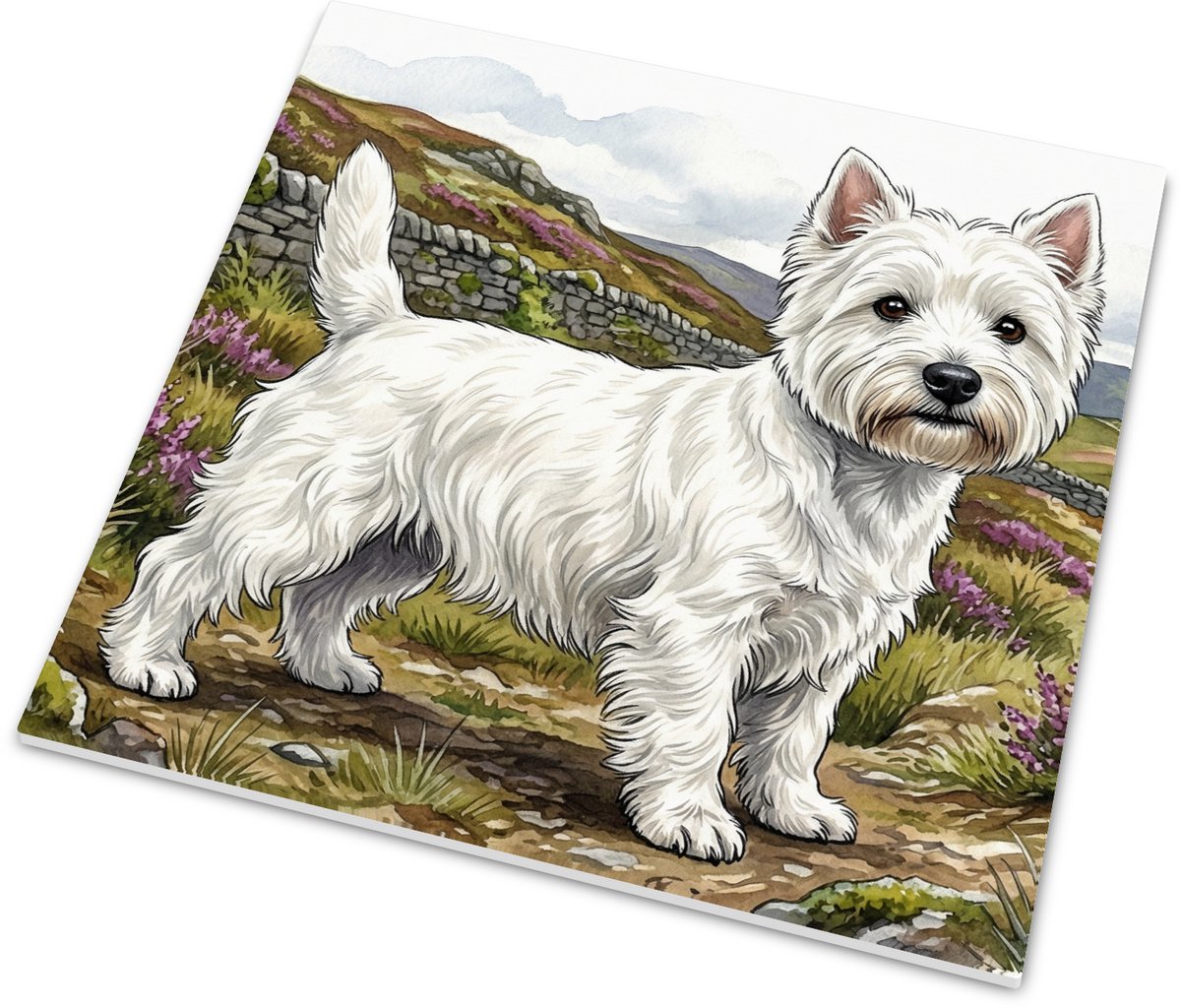 Glanzend Tegeltje West Highland white terrier met Paarse Heide - Aquarel Illustratie Honde