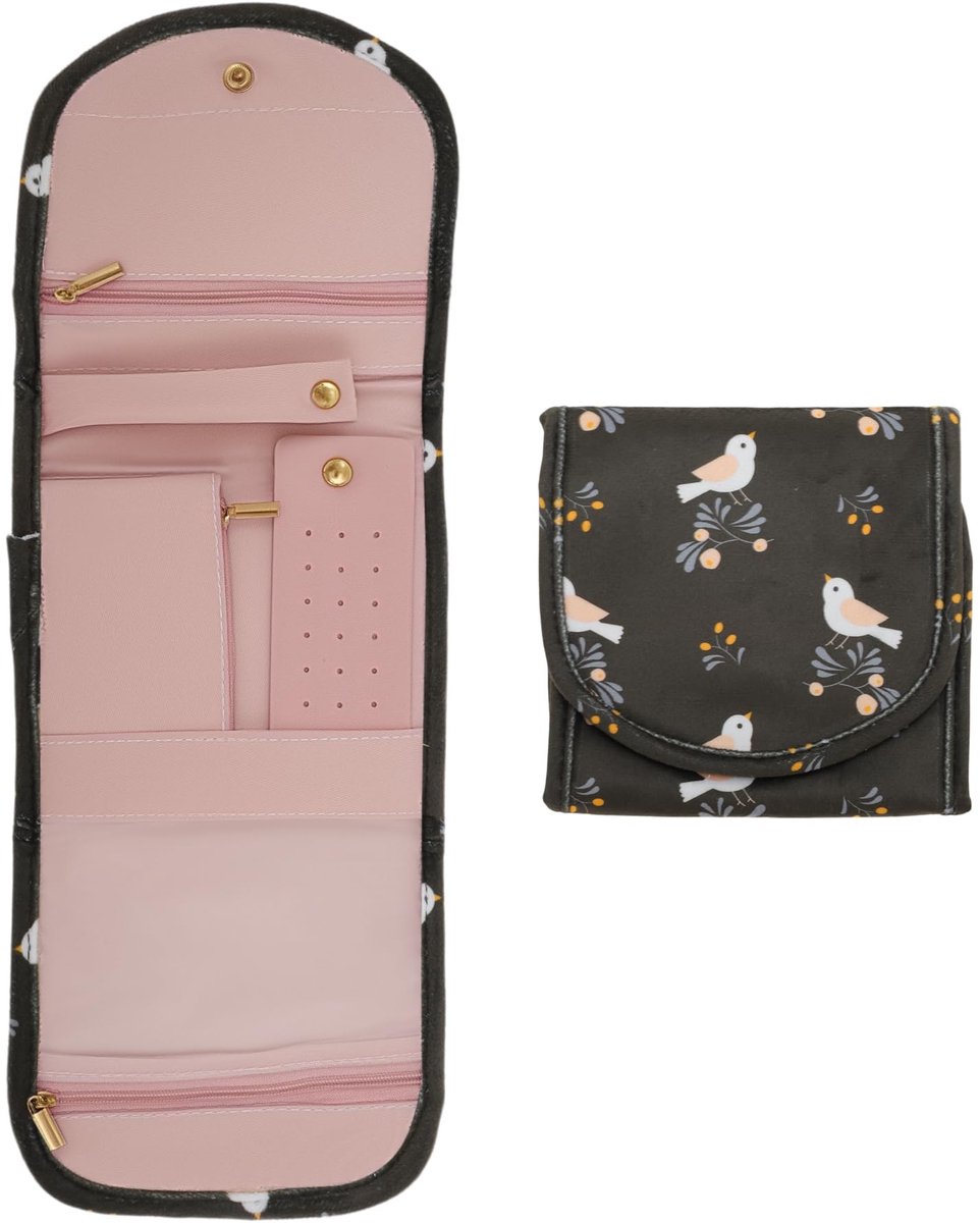 Dailygoods- Sieradenorganizer - Reisaccessoires - Oorbellen/ringen/halskettingen/horloges - Fluweel - Klein - Gevoerd ontwerp - Sieradenetui