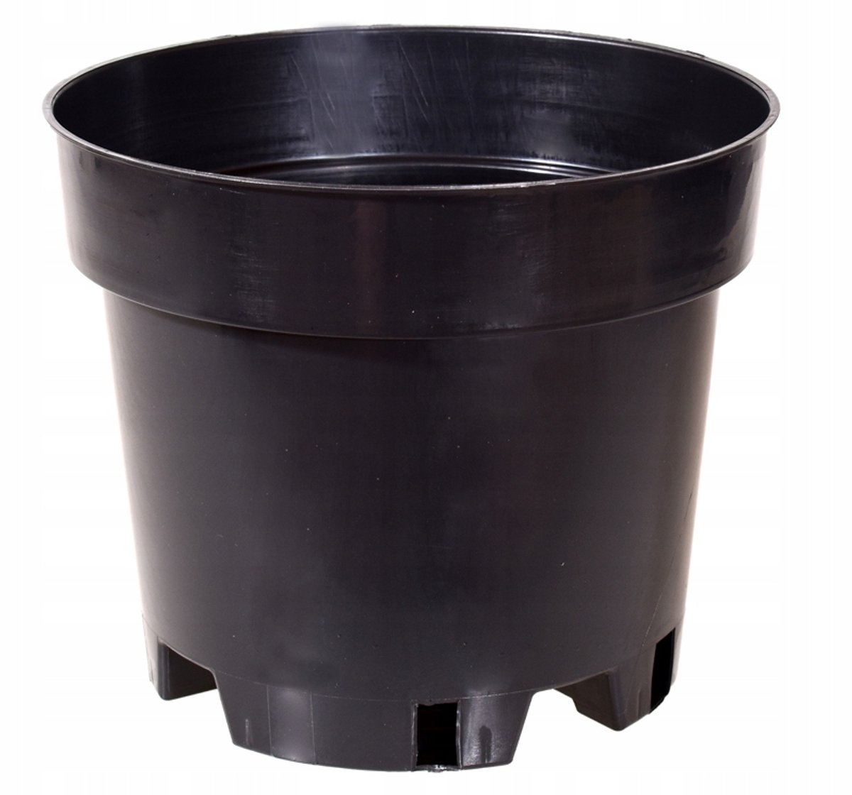 Bijzondere Bosbessen Pot 15cm - 1,5L - Zwart Kunststof