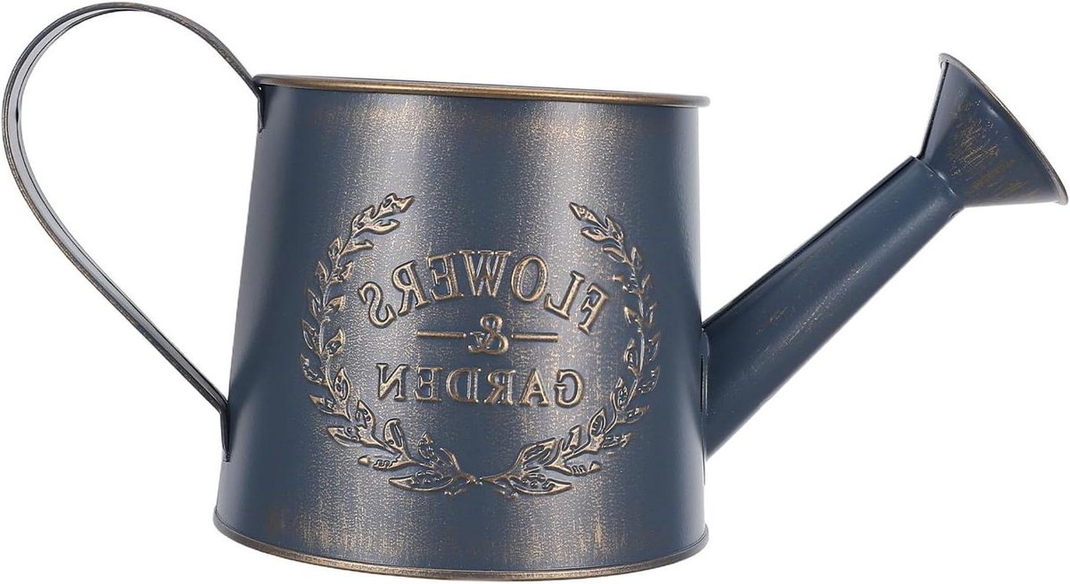 Metalen gieter - Decoratieve plantenpot - Planten water geven - Gegalvaniseerde afwerking - 026 gallon - Blauw