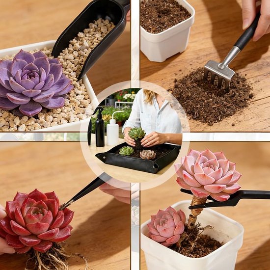 Complete Bonsai Starter Set met 16 Onderdelen, Inclusief Waterdichte Pot, Opbergzak en Mini Tuingereedschap voor Verpotten, Vetplanten en Plantenverzorging — afbeelding 5